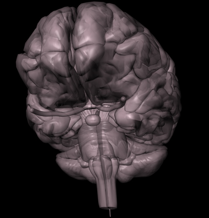 brain_render.jpg