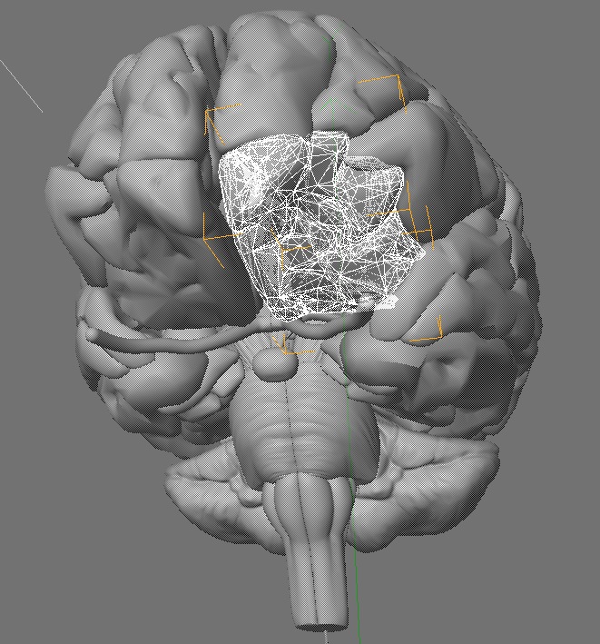 brain_wireframe.jpg